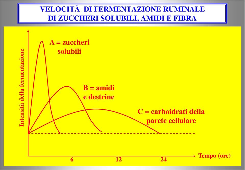 fermentazione A = zuccheri solubili B = amidi e