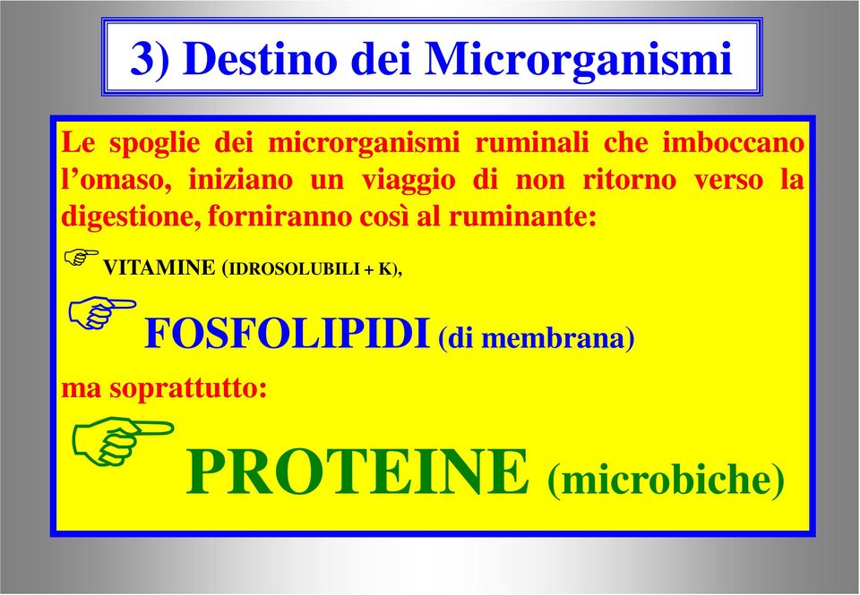 digestione, forniranno così al ruminante: VITAMINE (IDROSOLUBILI +