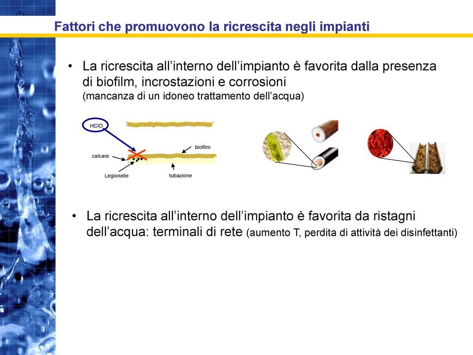 dell acqua) HClO calcare biofilm Legionelle tubazione La ricrescita all interno dell impianto è