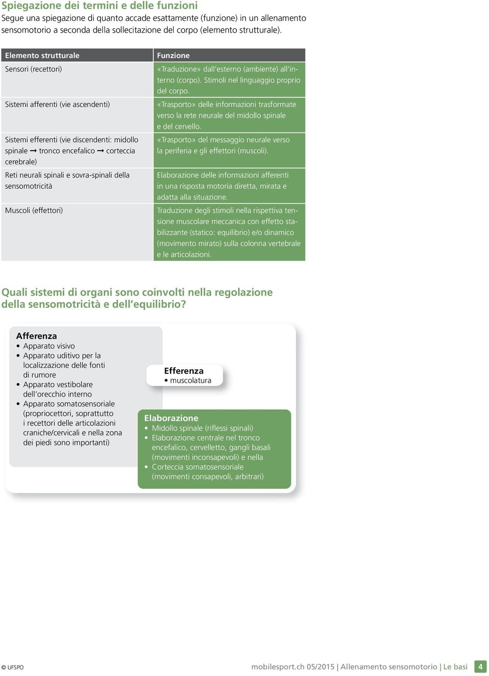 sovra-spinali della sensomotricità Muscoli (effettori) Funzione «Traduzione» dall esterno (ambiente) all interno (corpo). Stimoli nel linguaggio proprio del corpo.