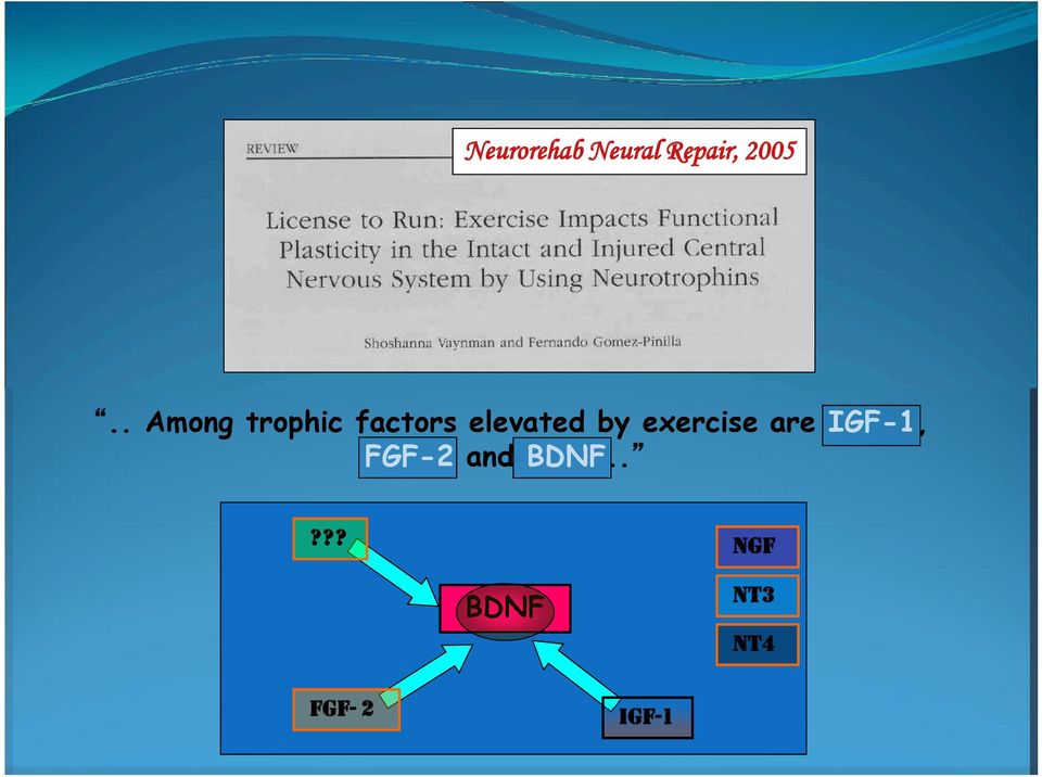 exercise are IGF IGF-1, FGF FGF-2 and