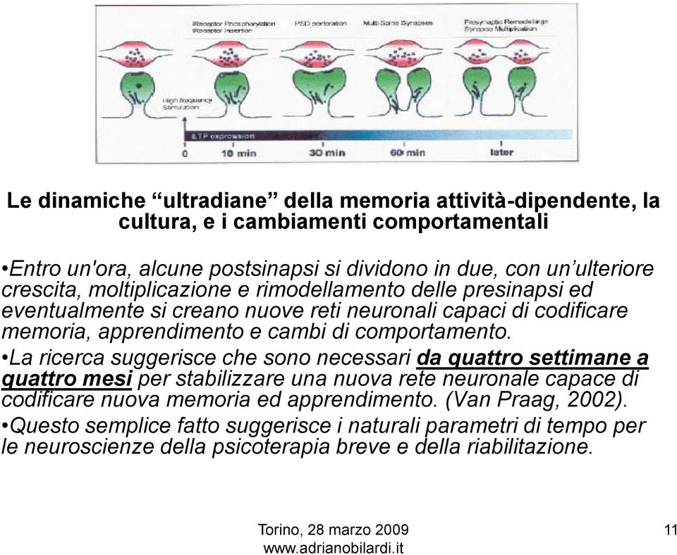 cambi di comportamento.