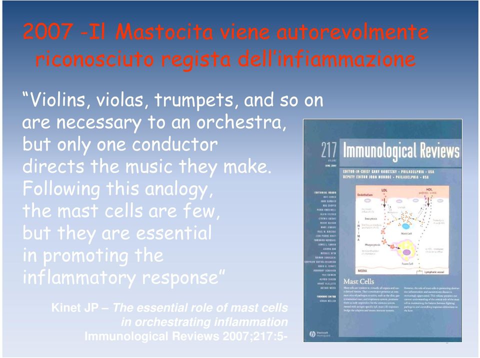 Following this analogy, the mast cells are few, but they are essential in promoting the inflammatory