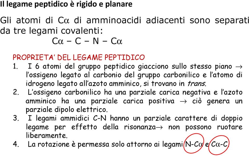 in trans. 2. L ossigeno carbonilico ha una parziale carica negativa e l azoto amminico ha una parziale carica positiva ciò genera un parziale dipolo elettrico. 3.