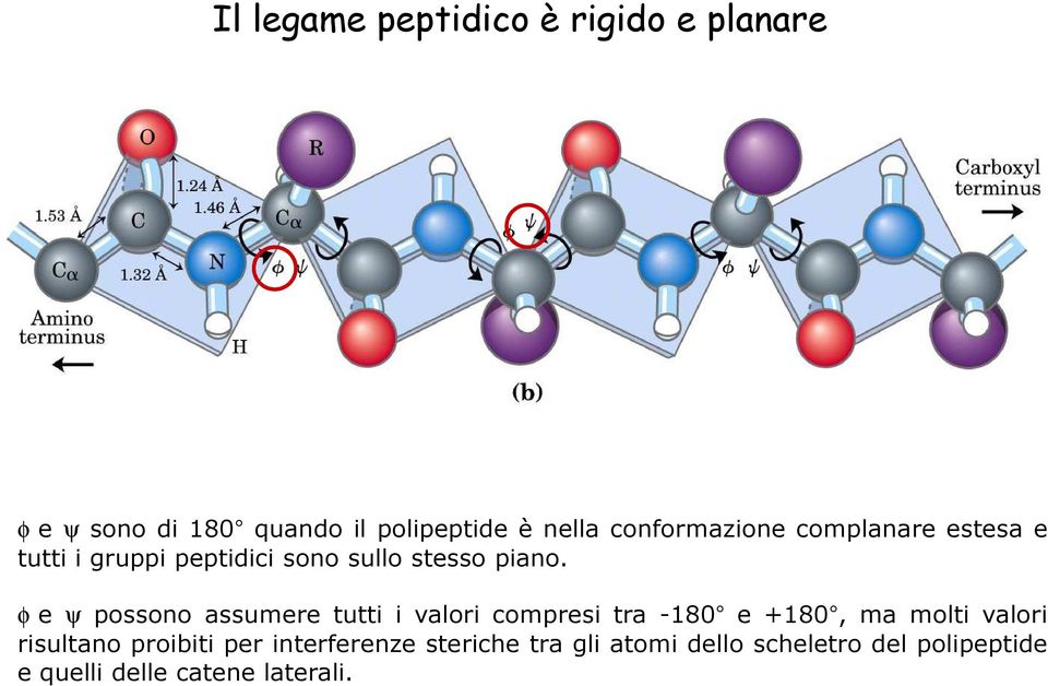 sullo stesso piano.