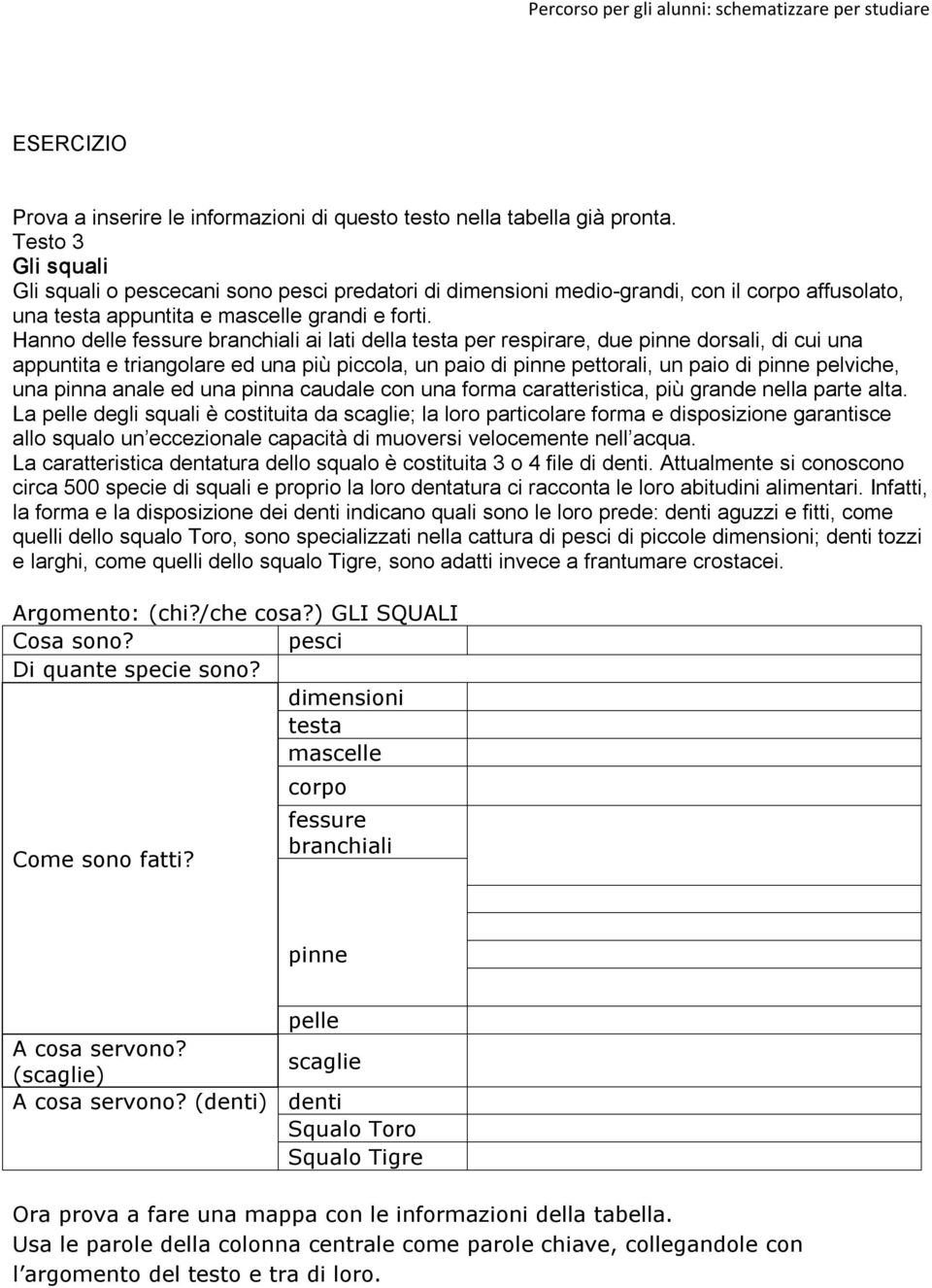 Hanno delle fessure branchiali ai lati della testa per respirare, due pinne dorsali, di cui una appuntita e triangolare ed una più piccola, un paio di pinne pettorali, un paio di pinne pelviche, una