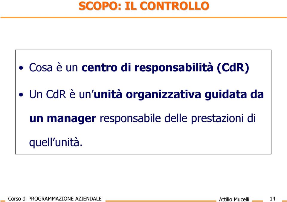 guidata da un manager responsabile delle prestazioni