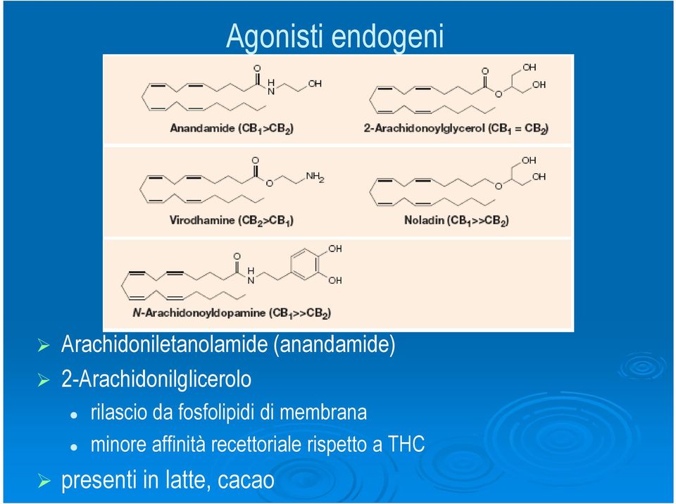 da fosfolipidi di membrana minore affinità