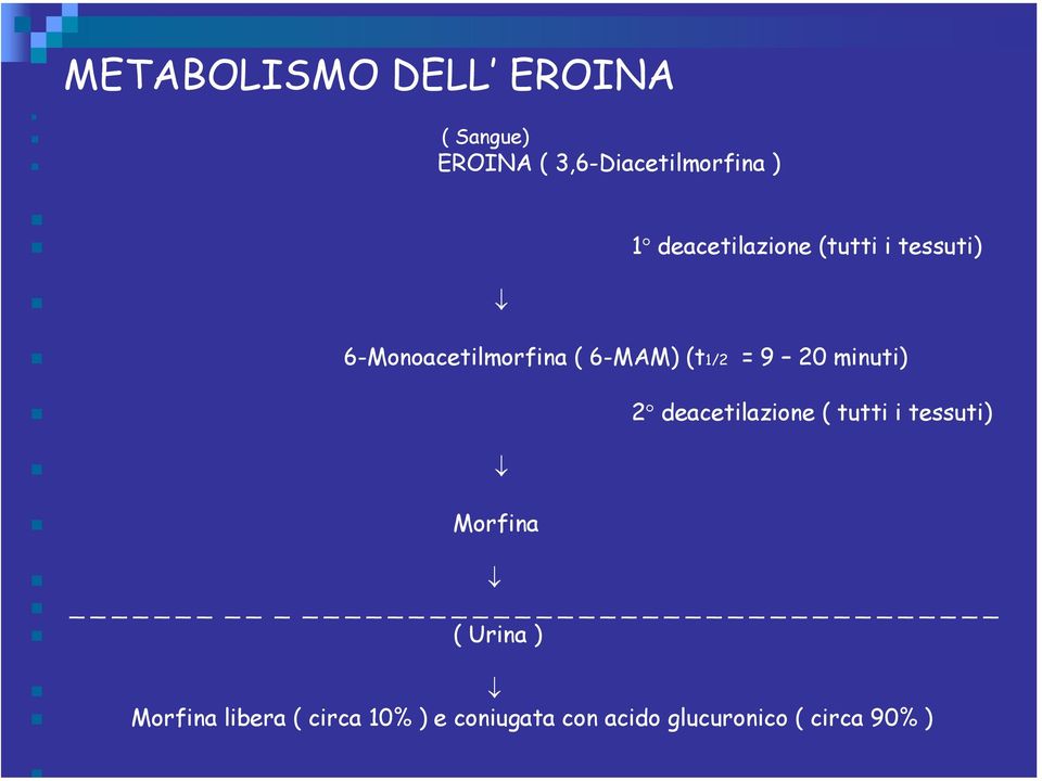 9 20 minuti) 2 deacetilazione ( tutti i tessuti) Morfina _ ( Urina )