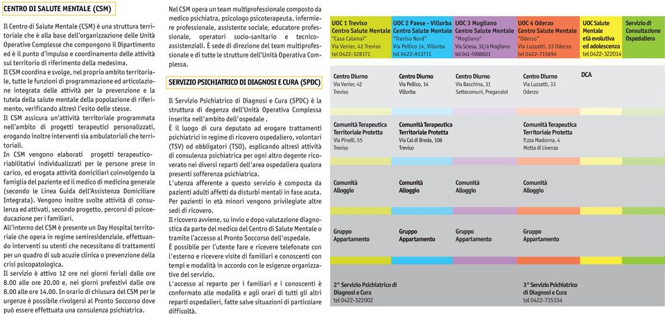 Il CSM coordina e svolge, nel proprio ambito territoriale, tutte le funzioni di programmazione ed articolazione integrata delle attività per la prevenzione e la tutela della salute mentale della