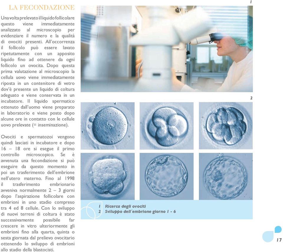 Dopo questa prima valutazione al microscopio la cellula uovo viene immediatamente riposta in un contenitore di vetro dov è presente un liquido di coltura adeguato e viene conservata in un incubatore.