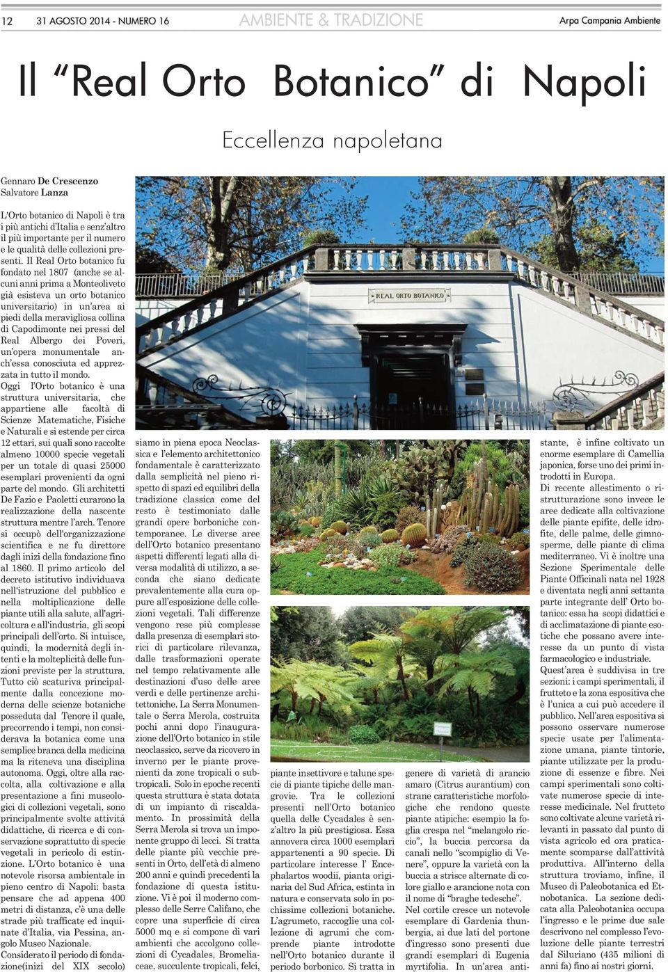 Il Real Orto botanico fu fondato nel 1807 (anche se alcuni anni prima a Monteoliveto già esisteva un orto botanico universitario) in un area ai piedi della meravigliosa collina di Capodimonte nei