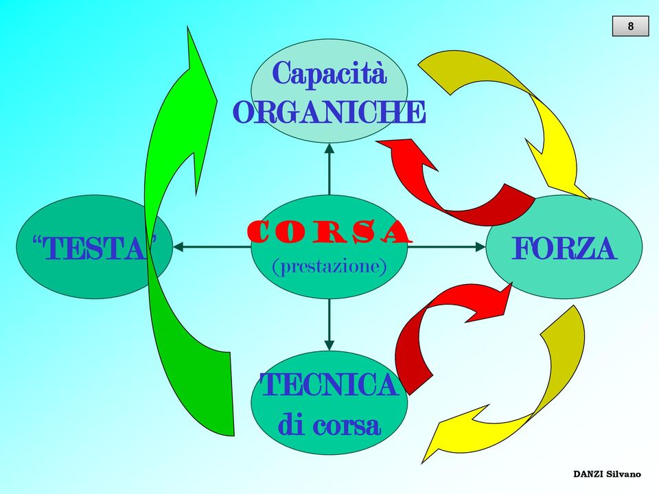 TESTA Corsa