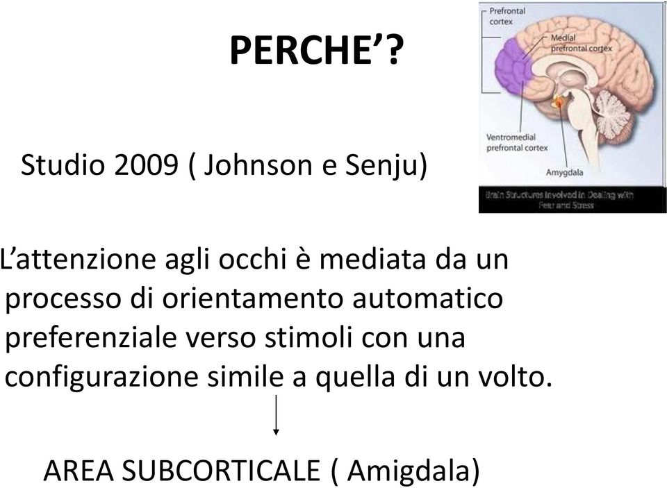 è mediata da un processo di orientamento automatico