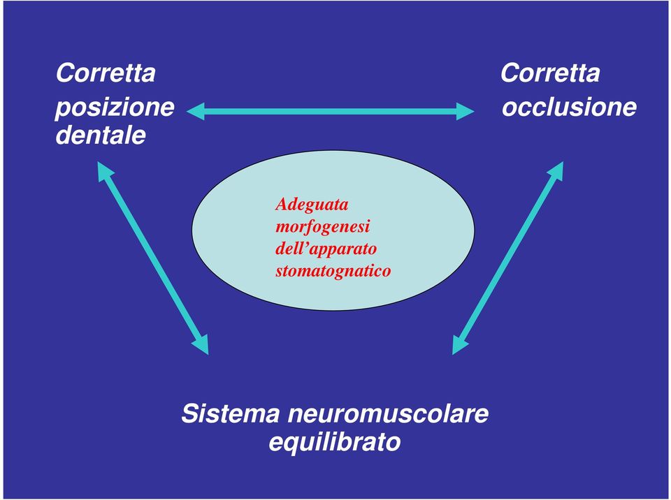 morfogenesi dell apparato