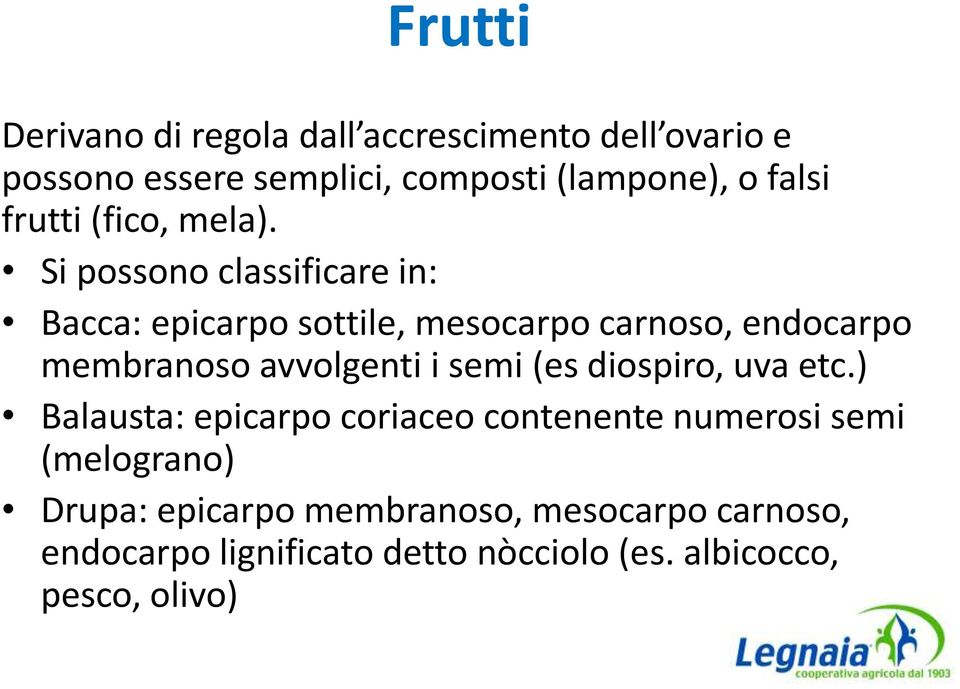 Si possono classificare in: Bacca: epicarpo sottile, mesocarpo carnoso, endocarpo membranoso avvolgenti i semi