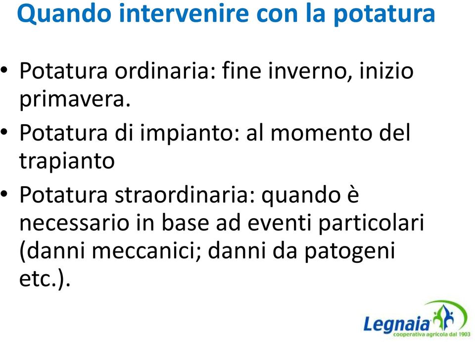 Potatura di impianto: al momento del trapianto Potatura