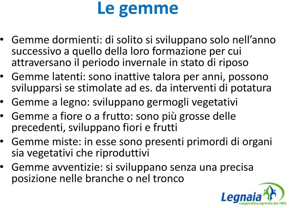 da interventi di potatura Gemme a legno: sviluppano germogli vegetativi Gemme a fiore o a frutto: sono più grosse delle precedenti, sviluppano