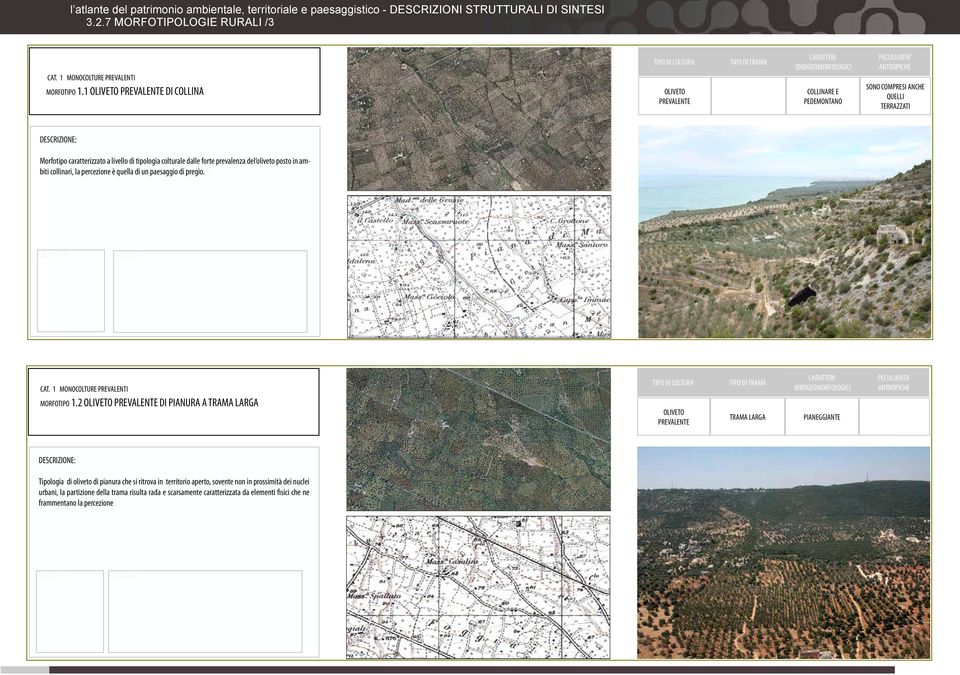 forte prevalenza del oliveto posto in ambiti collinari, la percezione è quella di un paesaggio di pregio. TI CAT. 1 MONOCOLTURE PREVALENTI MORFOTIPO 1.