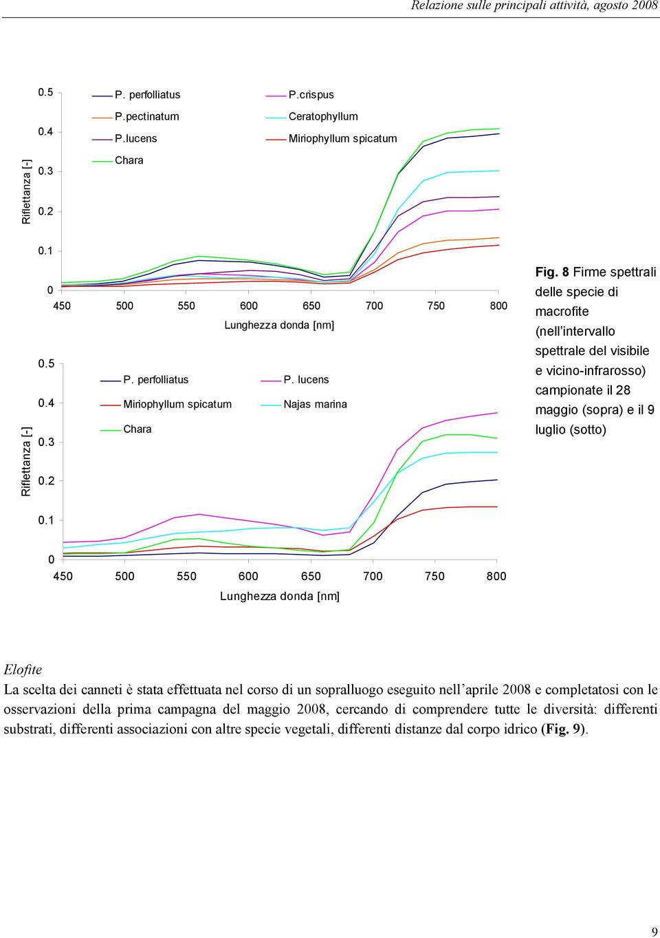 8 Firme spettrali delle specie di macrofite (nell intervallo spettrale del visibile e vicino-infrarosso) campionate il 28 maggio (sopra) e il 9 luglio (sotto).