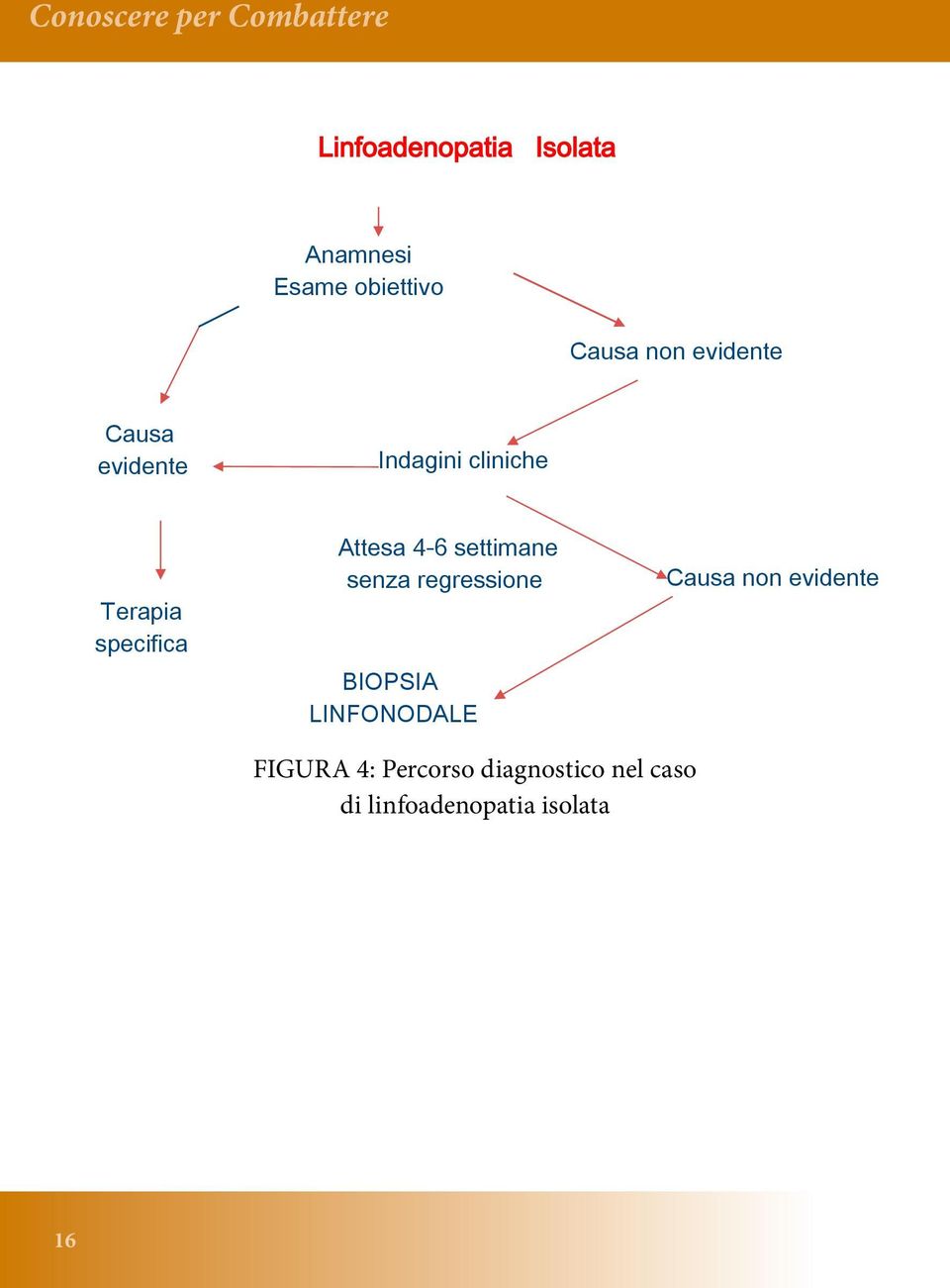 regressione BIOPSIA LINFONODALE Causa non evidente FIGURA 4: Percorso diagnostico nel