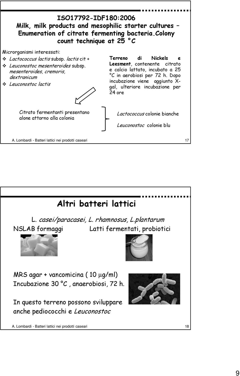 mesenteroides, cremoris, dextranicum Leuconostoc lactis Terreno di Nickels e Leesment, contenente citrato e calcio lattato, incubato a 25 C in aerobiosi per 72 h.