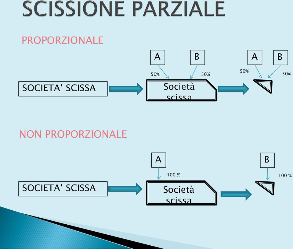 scissa NON PROPORZIONALE A B 100