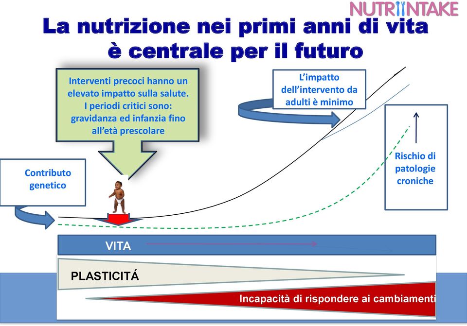 I periodi critici sono: gravidanza ed infanzia fino all età prescolare L impatto dell