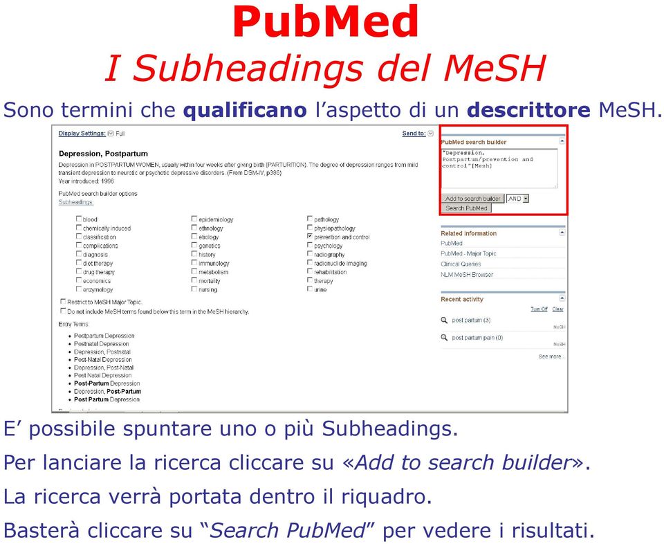 Per lanciare la ricerca cliccare su «Add to search builder».