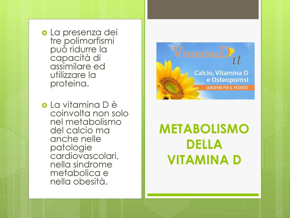 La vitamina D è coinvolta non solo nel metabolismo del calcio ma