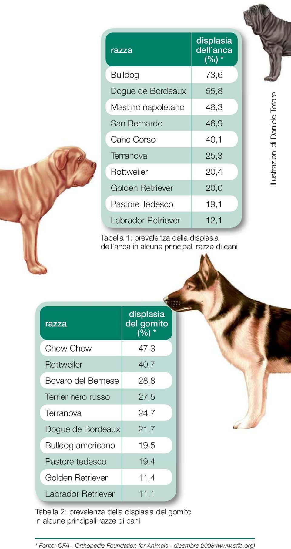 gomito (%) * Chow Chow 47,3 Rottweiler 40,7 Bovaro del Bernese 28,8 Terrier nero russo 27,5 Terranova 24,7 Dogue de Bordeaux 21,7 Bulldog americano 19,5 Pastore tedesco 19,4 Golden