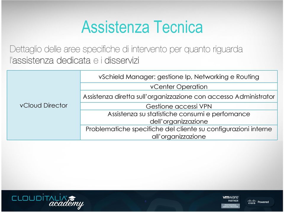 diretta sull organizzazione con accesso Administrator Gestione accessi VPN Assistenza su statistiche consumi e