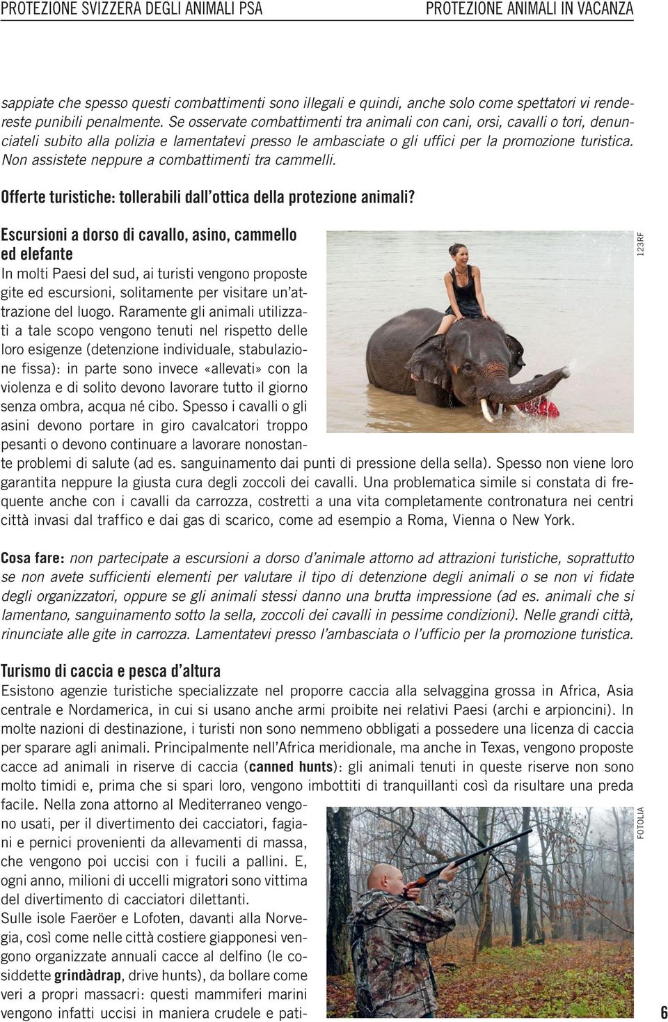 Non assistete neppure a combattimenti tra cammelli. Offerte turistiche: tollerabili dall ottica della protezione animali?