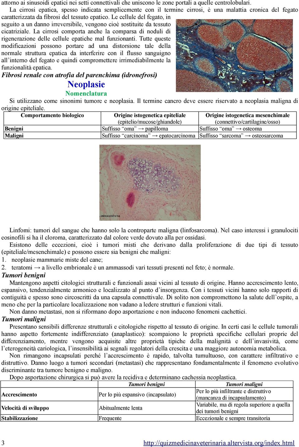 Le cellule del fegato, in seguito a un danno irreversibile, vengono cioè sostituite da tessuto cicatriziale.