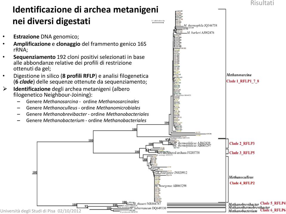 clade) delle sequenze ottenute da sequenziamento; Identificazione degli archea metanigeni (albero filogenetico Neighbour-Joining): Genere Methanosarcina - ordine