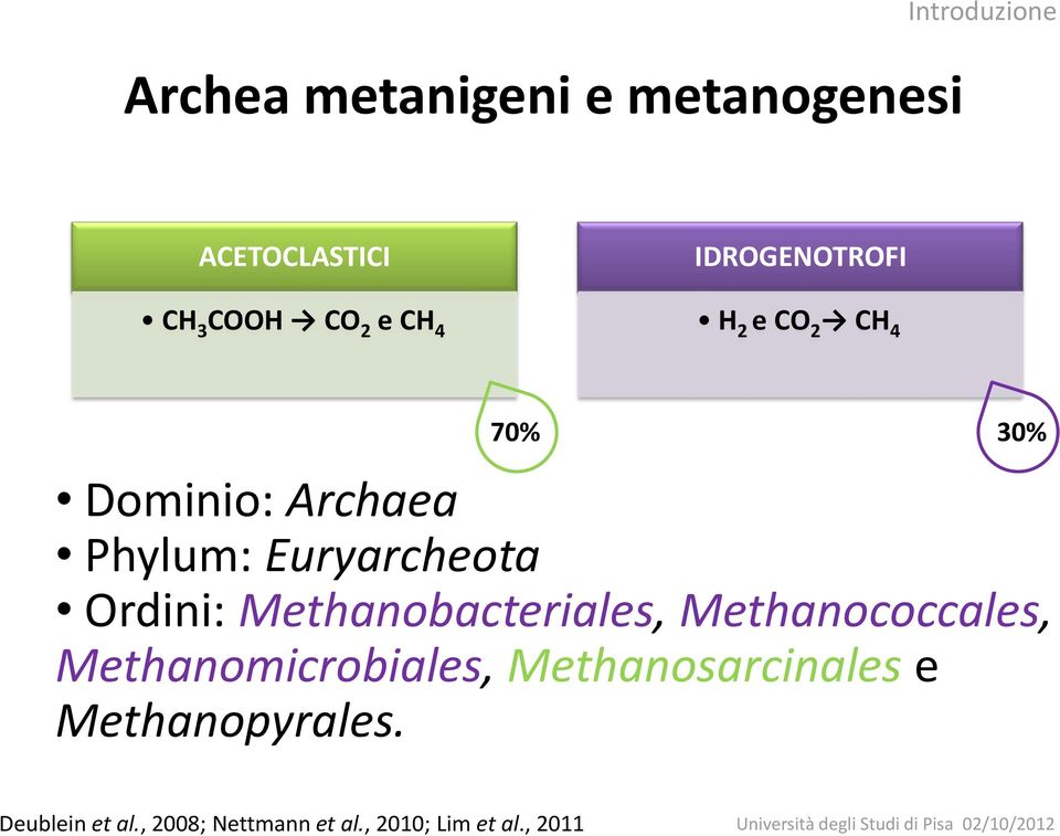 Ordini: Methanobacteriales, Methanococcales, Methanomicrobiales,