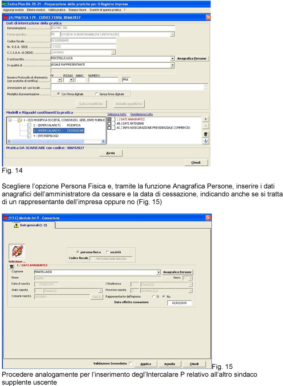 indicando anche se si tratta di un rappresentante dell impresa oppure no (Fig. 15) Fig.