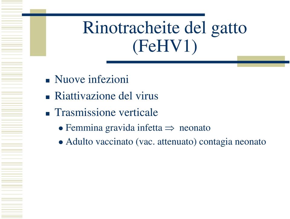 Trasmissione verticale Femmina gravida