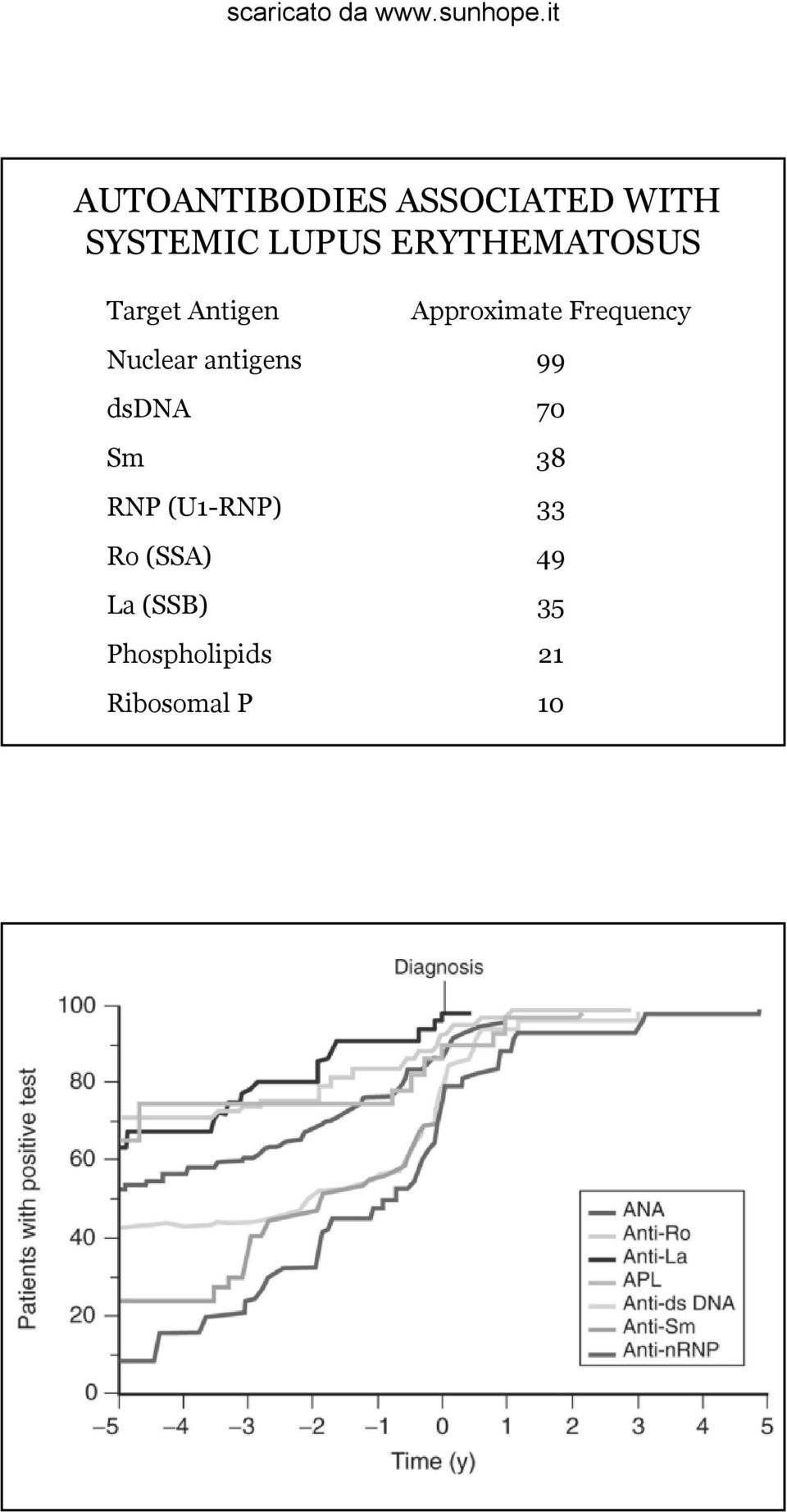 Nuclear antigens 99 dsdna 70 Sm 38 RNP (U1-RNP) 33