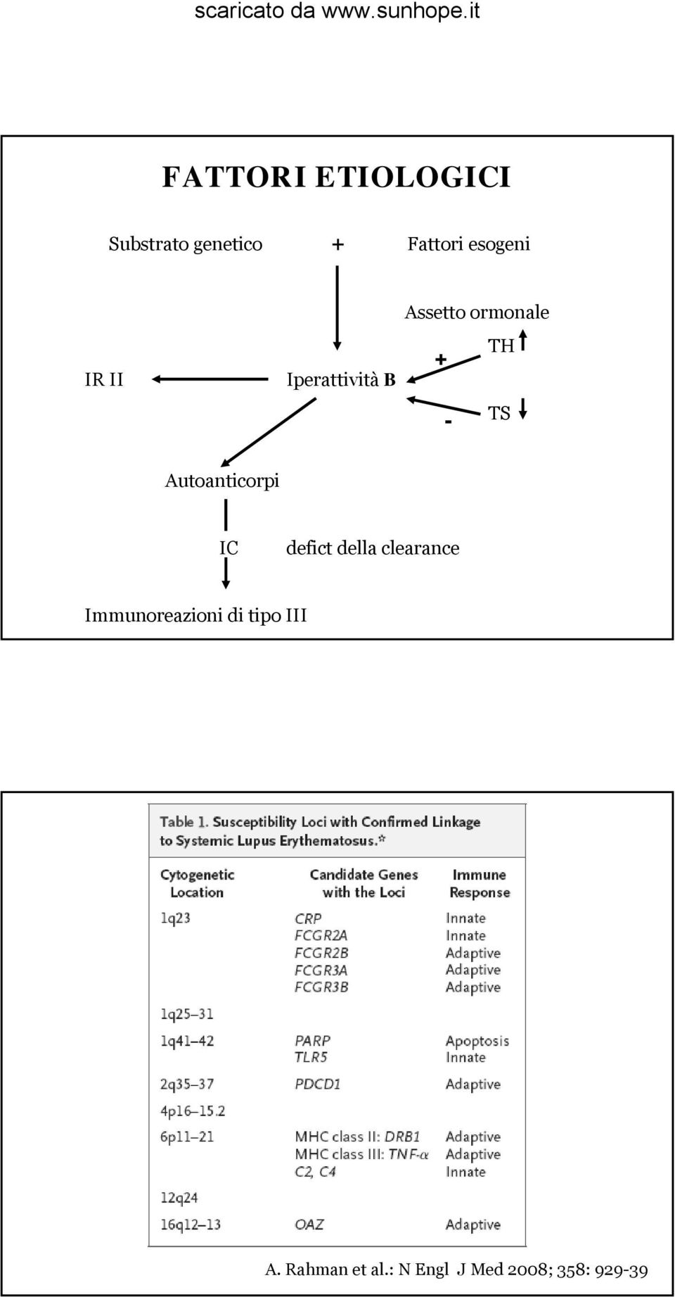 TS Autoanticorpi IC defict della clearance