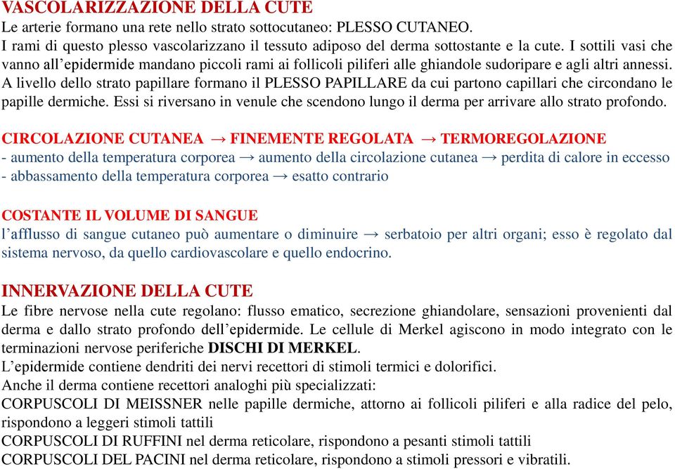 A livello dello strato papillare formano il PLESSO PAPILLARE da cui partono capillari che circondano le papille dermiche.