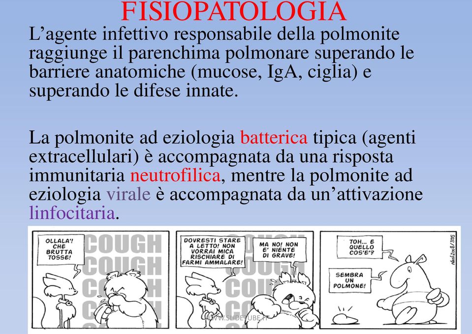 La polmonite ad eziologia batterica tipica (agenti extracellulari) è accompagnata da una risposta