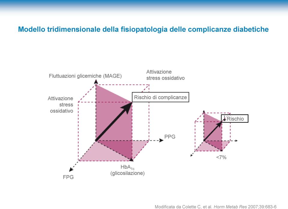 Attivazione stress ossidativo Rischio di complicanze Rischio PPG <7% FPG