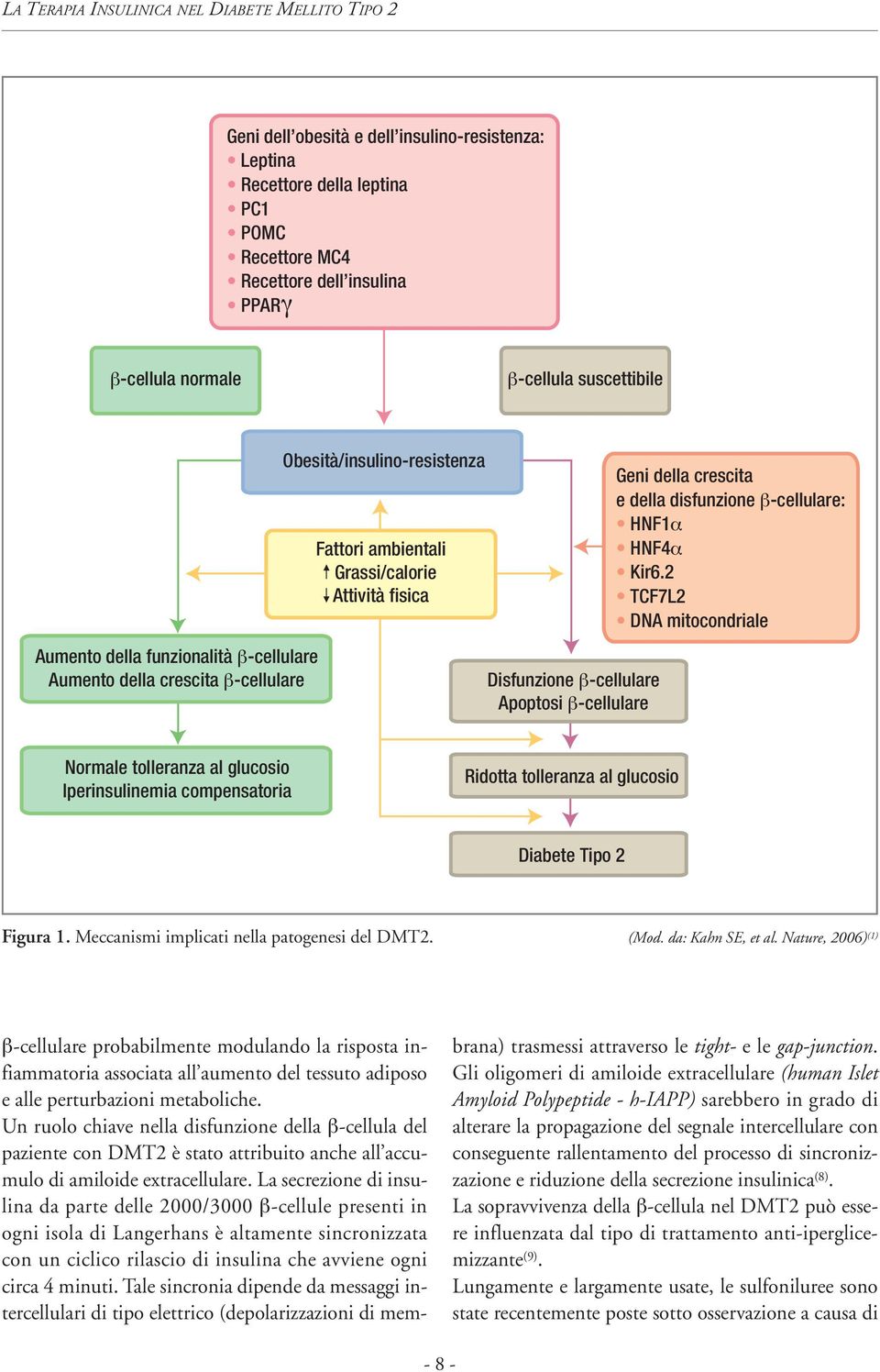 disfunzione β-cellulare: HNF1α HNF4α Kir6.2 TCF7L2 DNA mitocondriale Normale tolleranza al glucosio Iperinsulinemia compensatoria Ridotta tolleranza al glucosio Diabete Tipo 2 Figura 1.