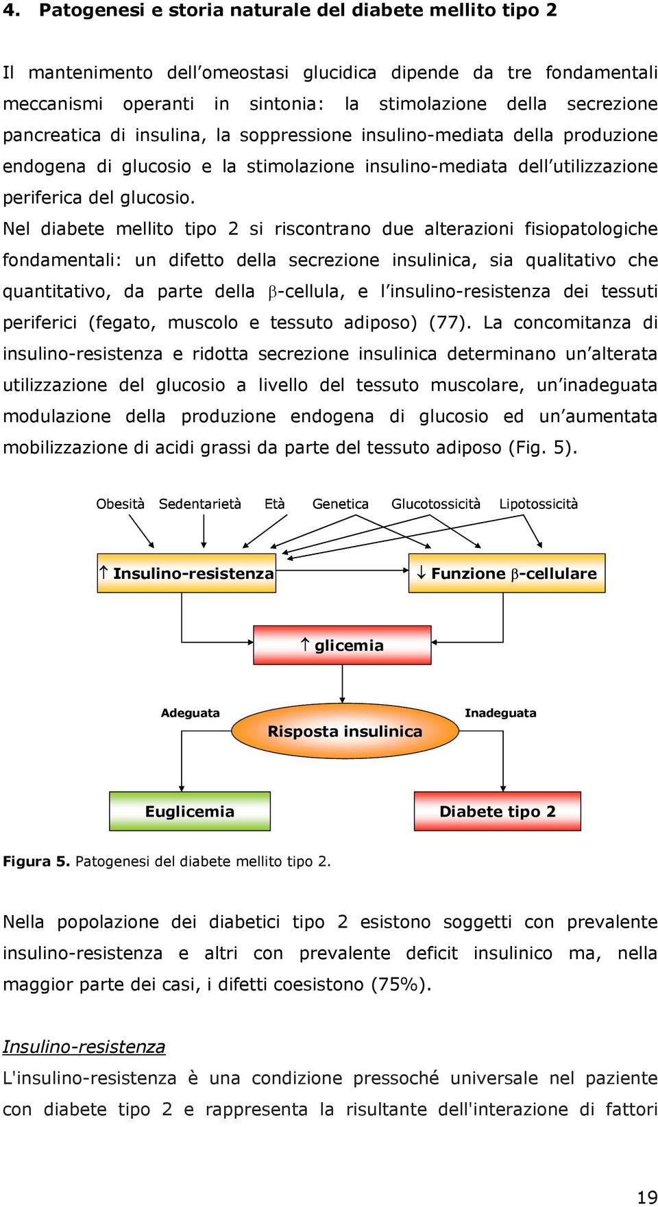 Nel diabete mellito tipo 2 si riscontrano due alterazioni fisiopatologiche fondamentali: un difetto della secrezione insulinica, sia qualitativo che quantitativo, da parte della β-cellula, e l