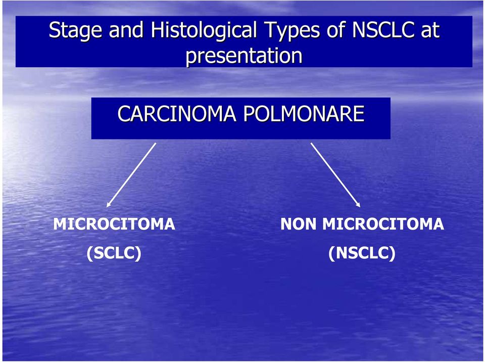 CARCINOMA POLMONARE