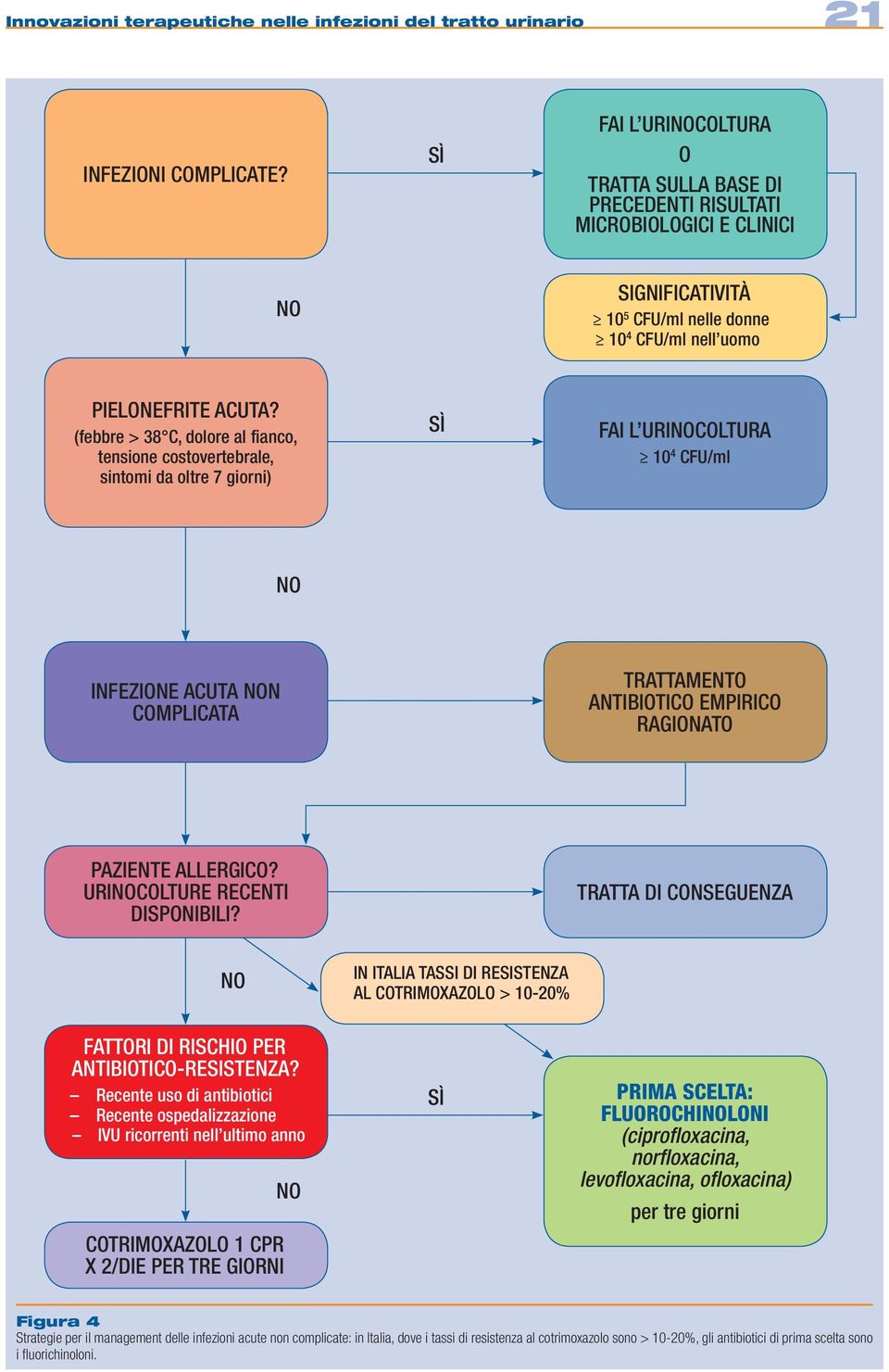 (febbre > 38 C, dolore al fianco, tensione costovertebrale, sintomi da oltre 7 giorni) SÌ FAI L URICOLTURA 10 4 CFU/ml INFEZIONE ACUTA N COMPLICATA TRATTAMENTO ANTIBIOTICO EMPIRICO RAGIONATO PAZIENTE
