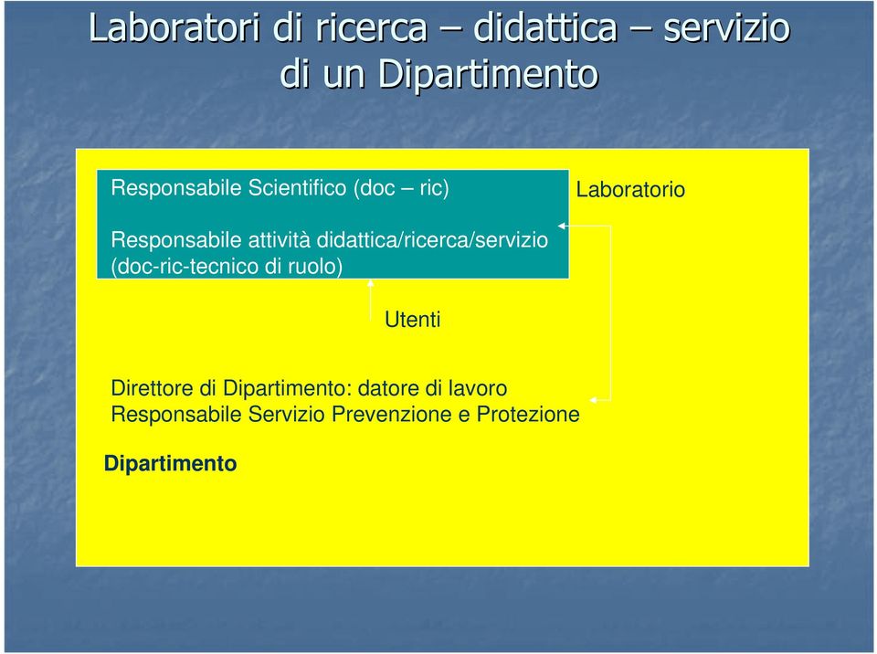 didattica/ricerca/servizio (doc-ric-tecnico di ruolo) Utenti Direttore di
