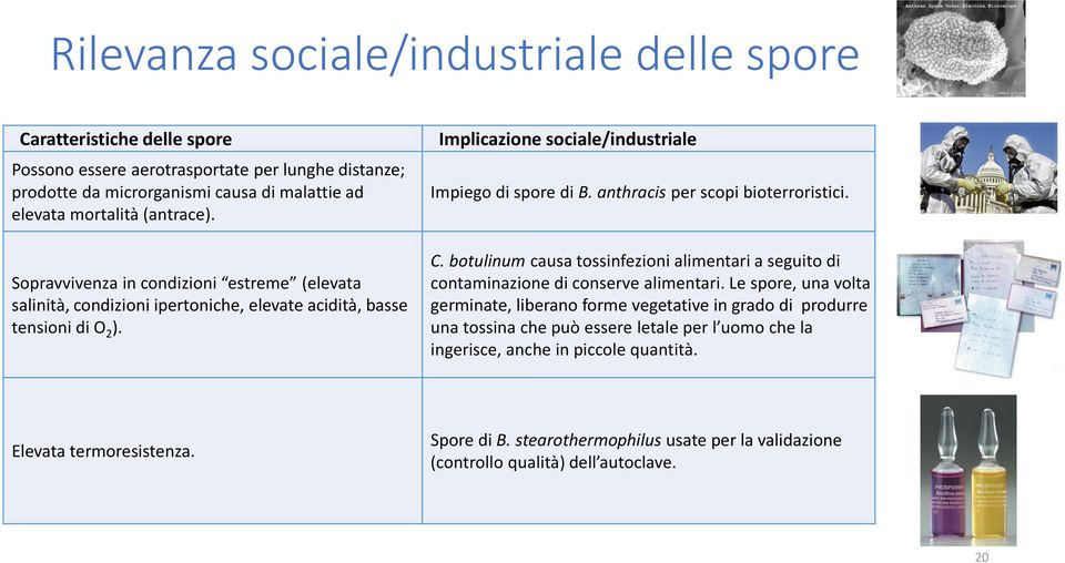 anthracis per scopi bioterroristici. C. botulinum causa tossinfezioni alimentari a seguito di contaminazione di conserve alimentari.