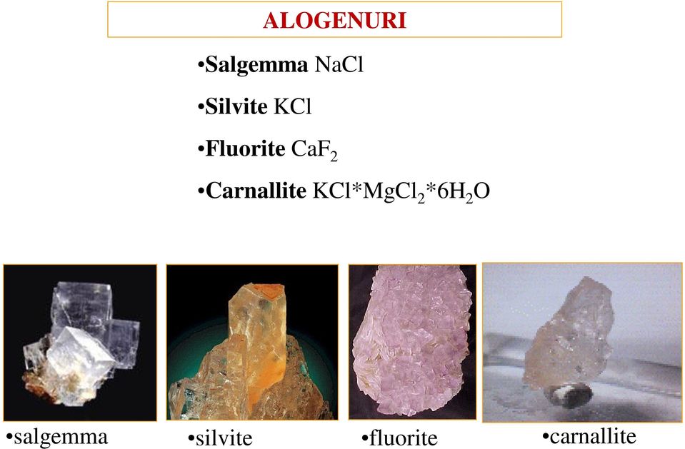 Carnallite KCl*MgCl 2 *6H 2 O